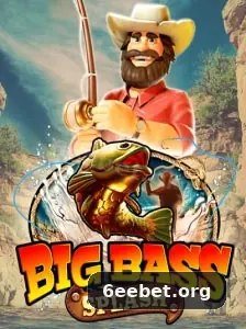 6ee tela de login